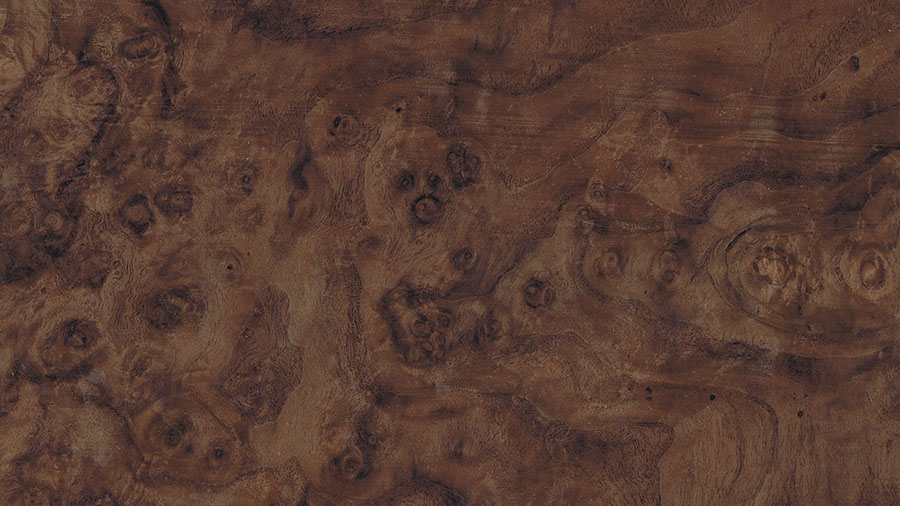 La radica cos'è? Definizione e Lavorazione